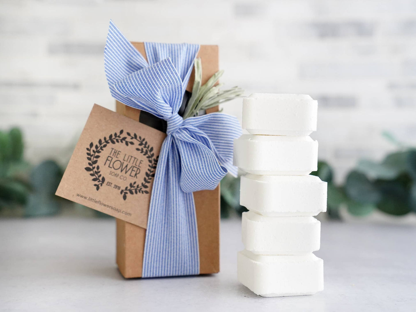 Shower Steamers Gift Set of 5 Menthol
