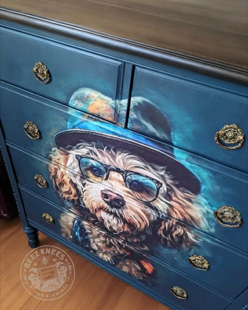 Dog Dresser
