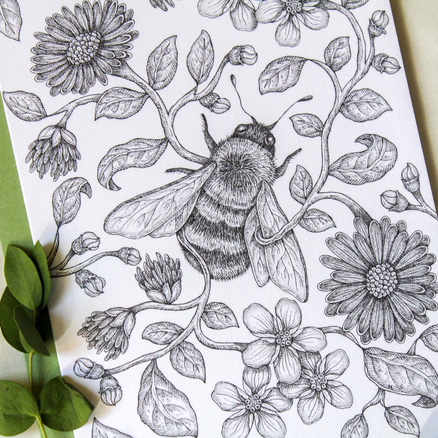 Native Apiary | Greeting Card