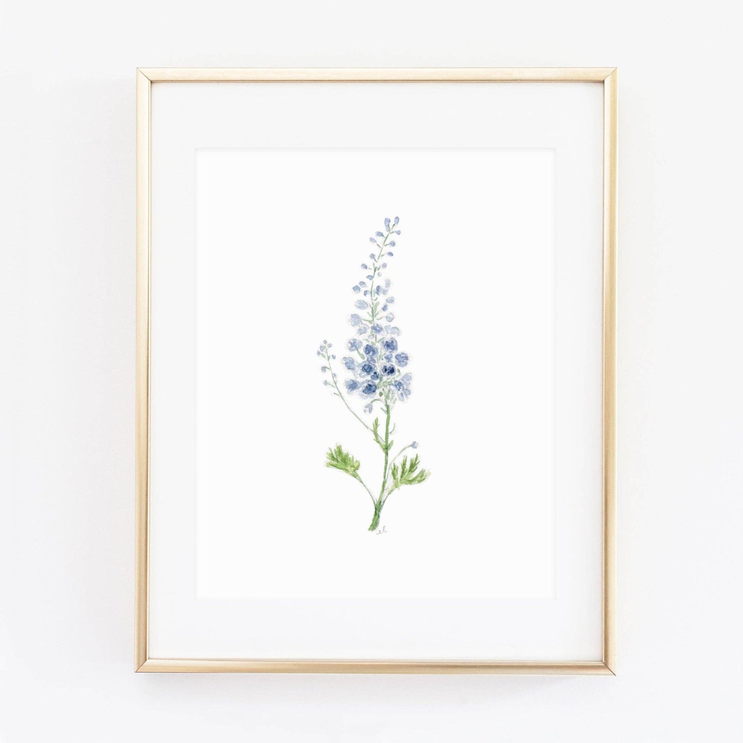 Delphinium art print