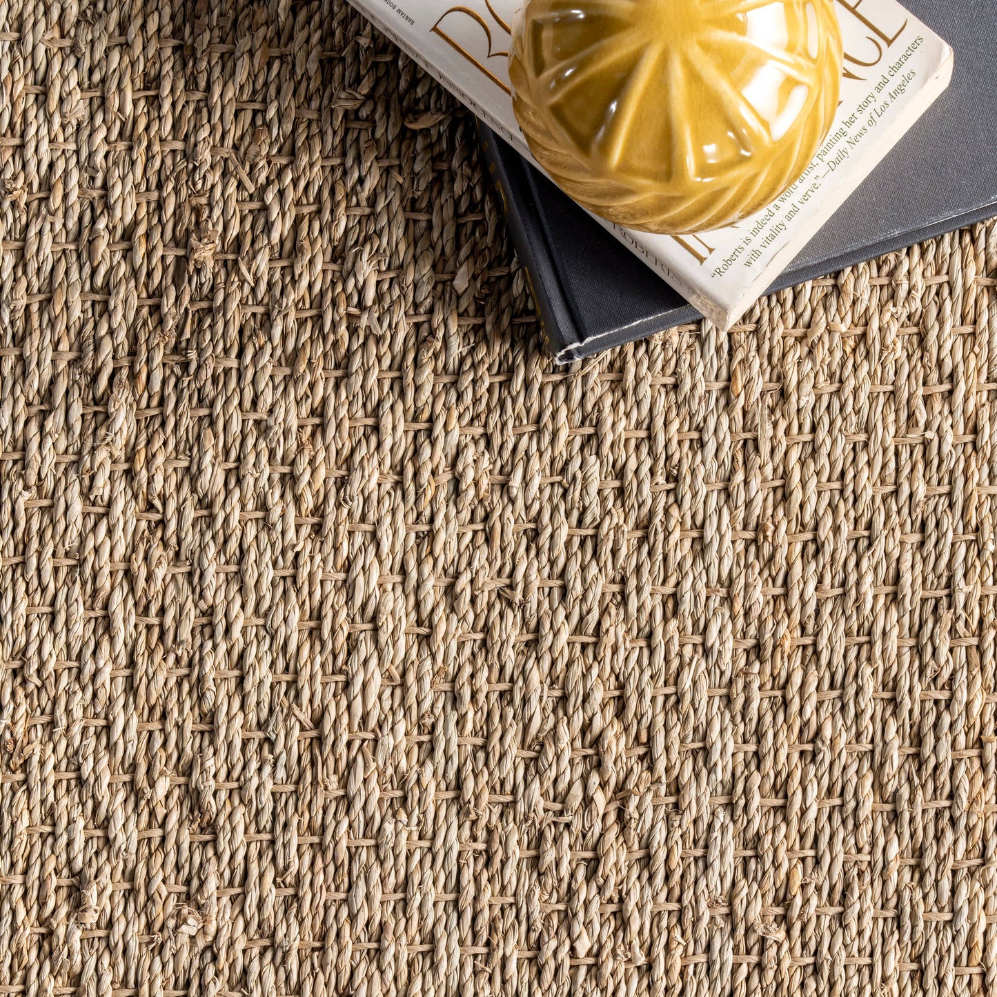 Elijah Seagrass with Border Area Rug