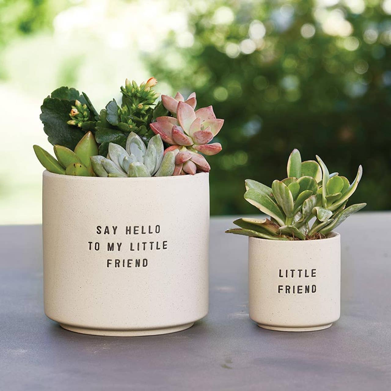 Say Hello Pots - Set of 2