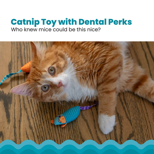 Catnip Chew Mice Dental Health Cat Toy 2pc