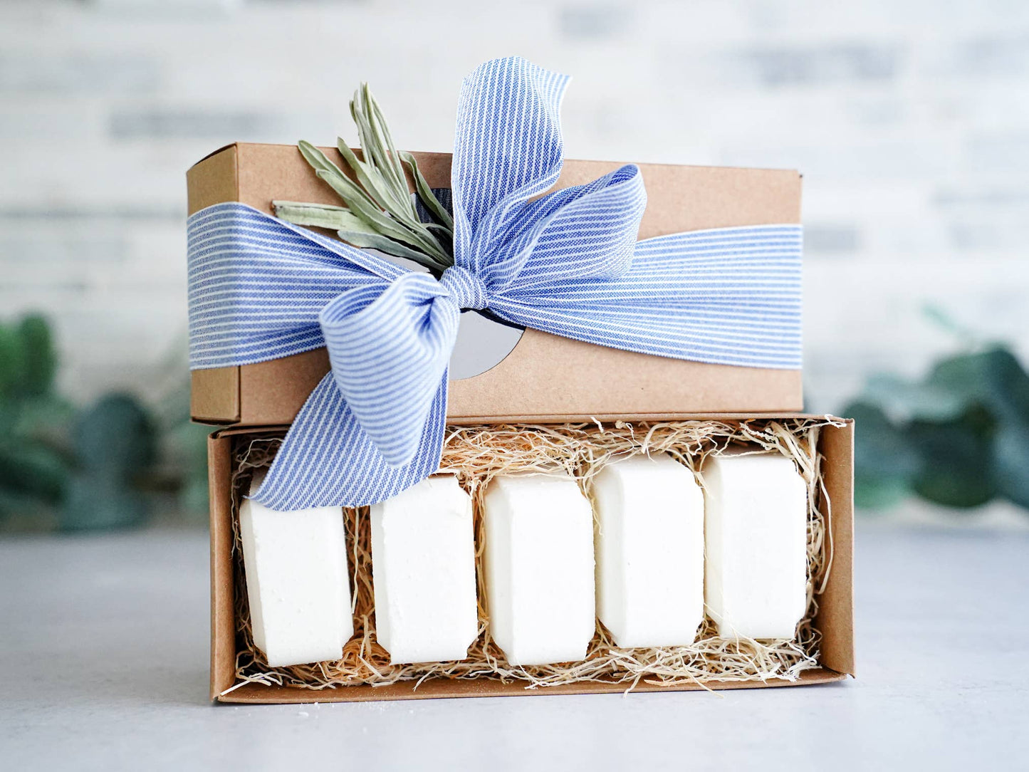 Shower Steamers Gift Set of 5 Menthol