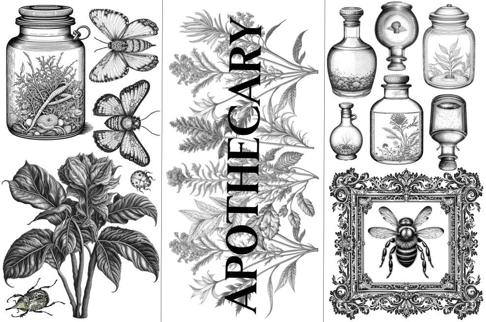 NEW "Apothecary" Mini Rub-On Transfer Set