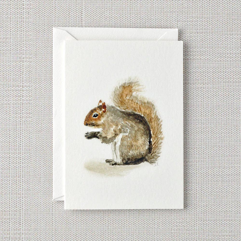 Squirrel mini notecard