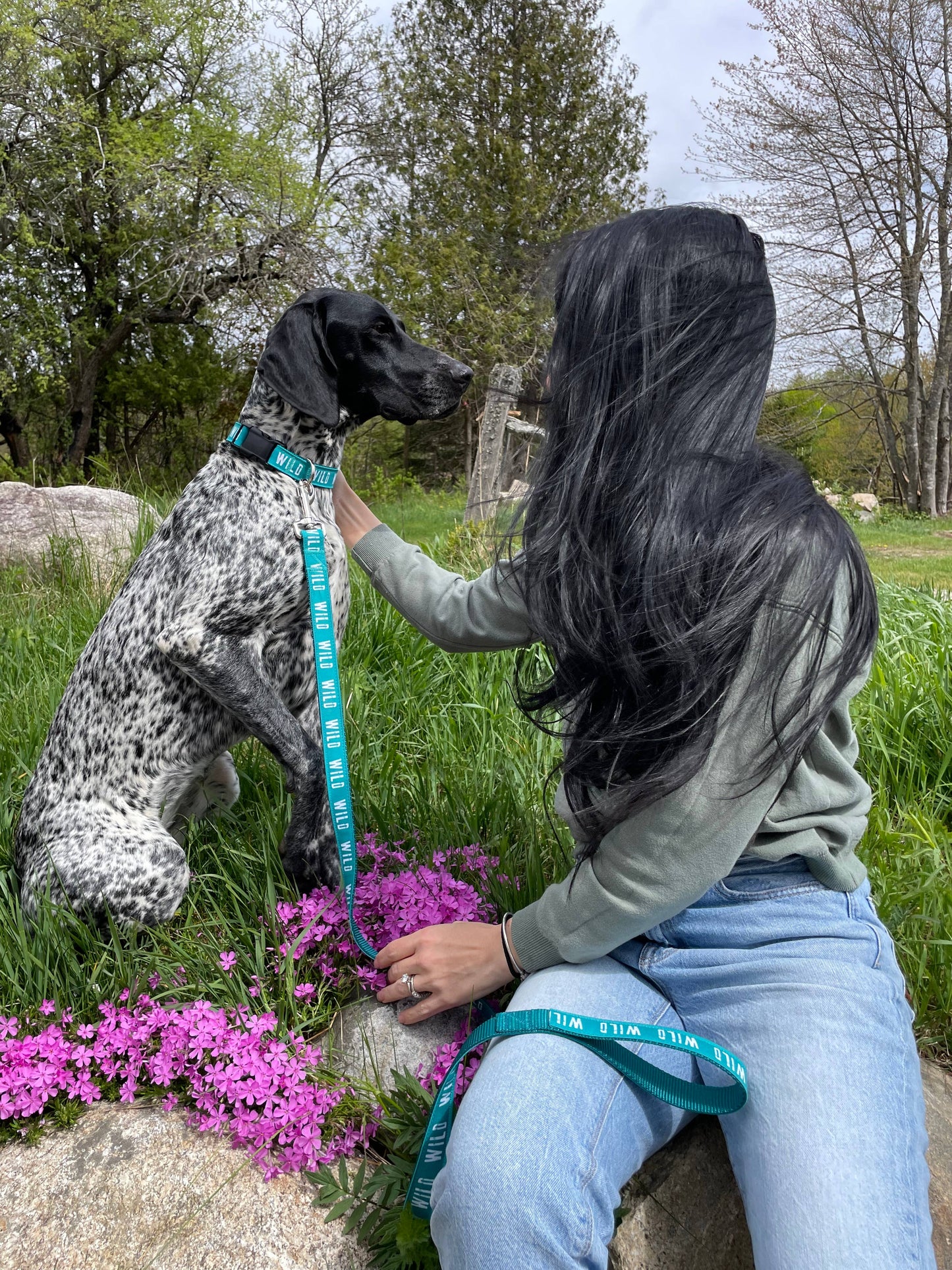 WILD Teal Dog Collar, Adventure, Hiking, Maine Made