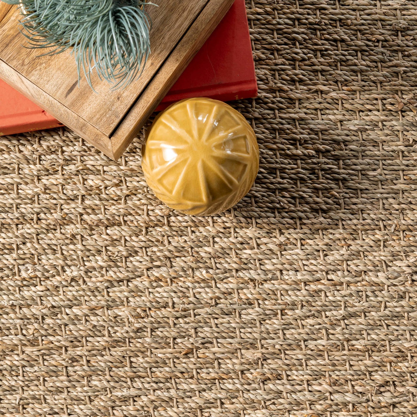 Elijah Seagrass with Border Area Rug
