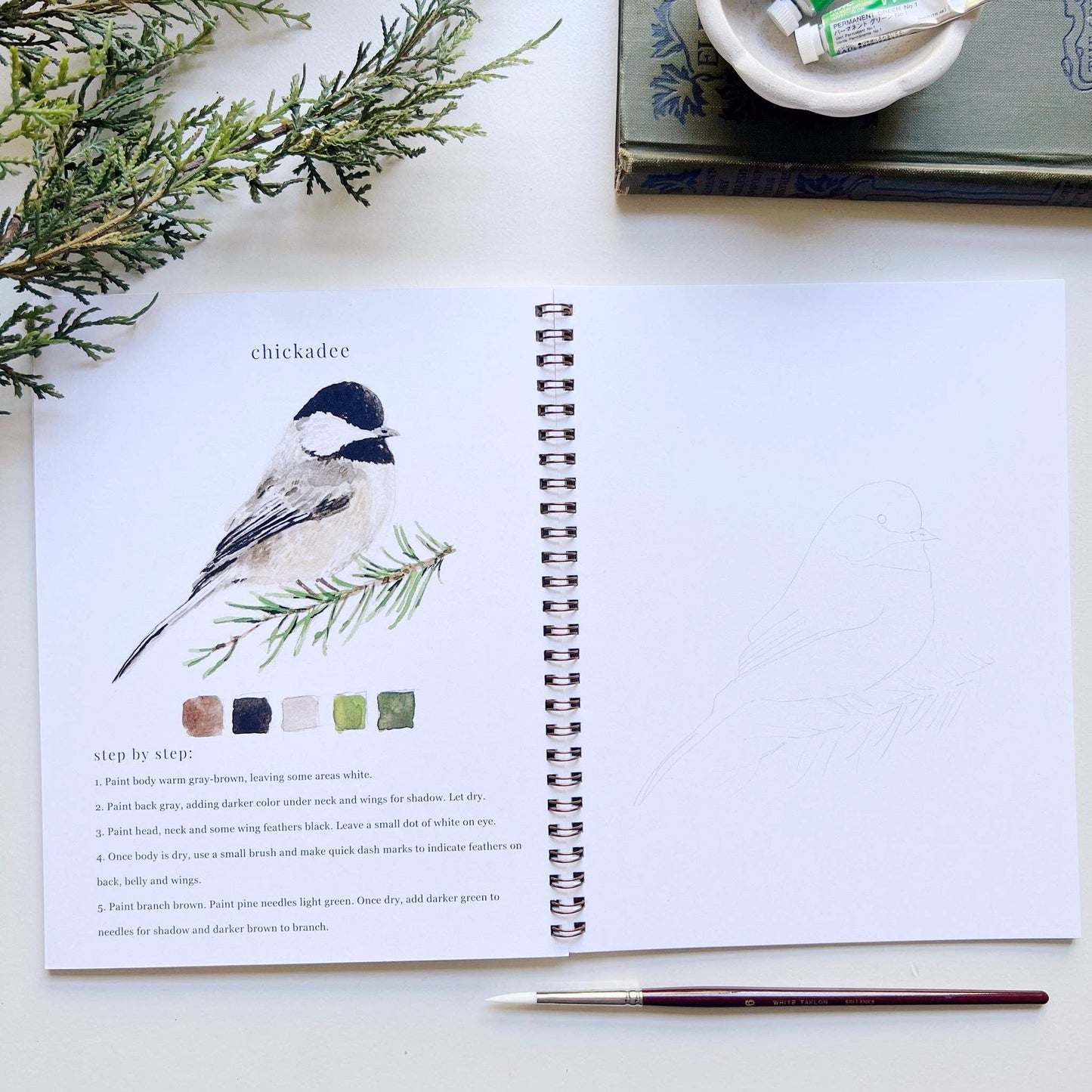 birds watercolor workbook