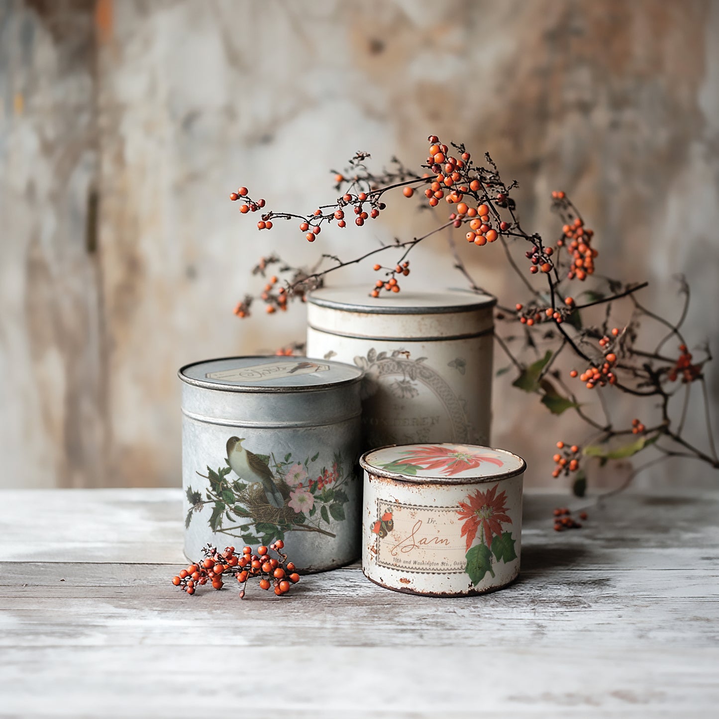 Winter Botanist