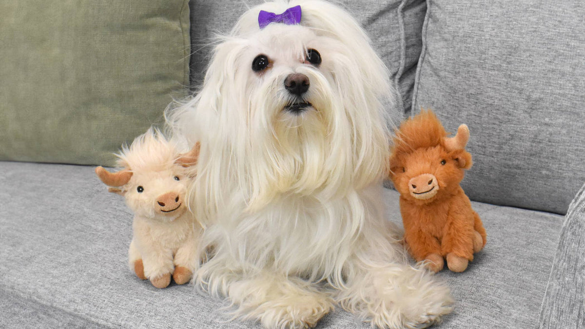 Minipet Highland Cow Dog Toy 5" Assorted