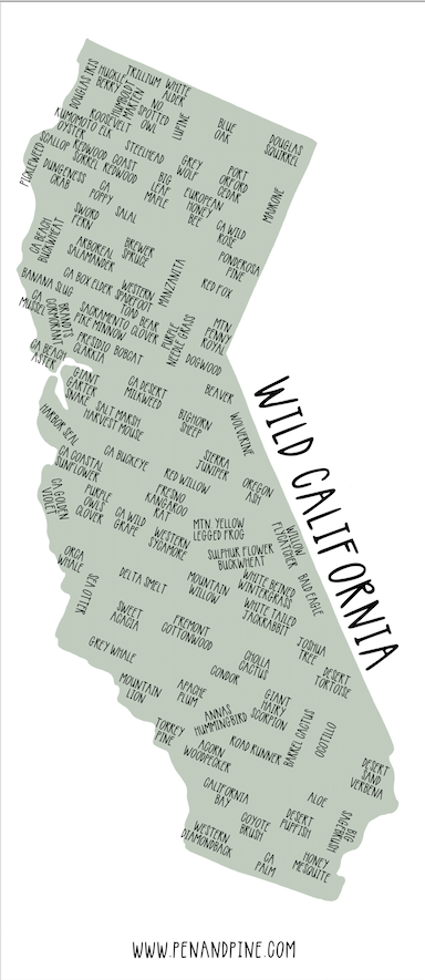 Wild California Sticker