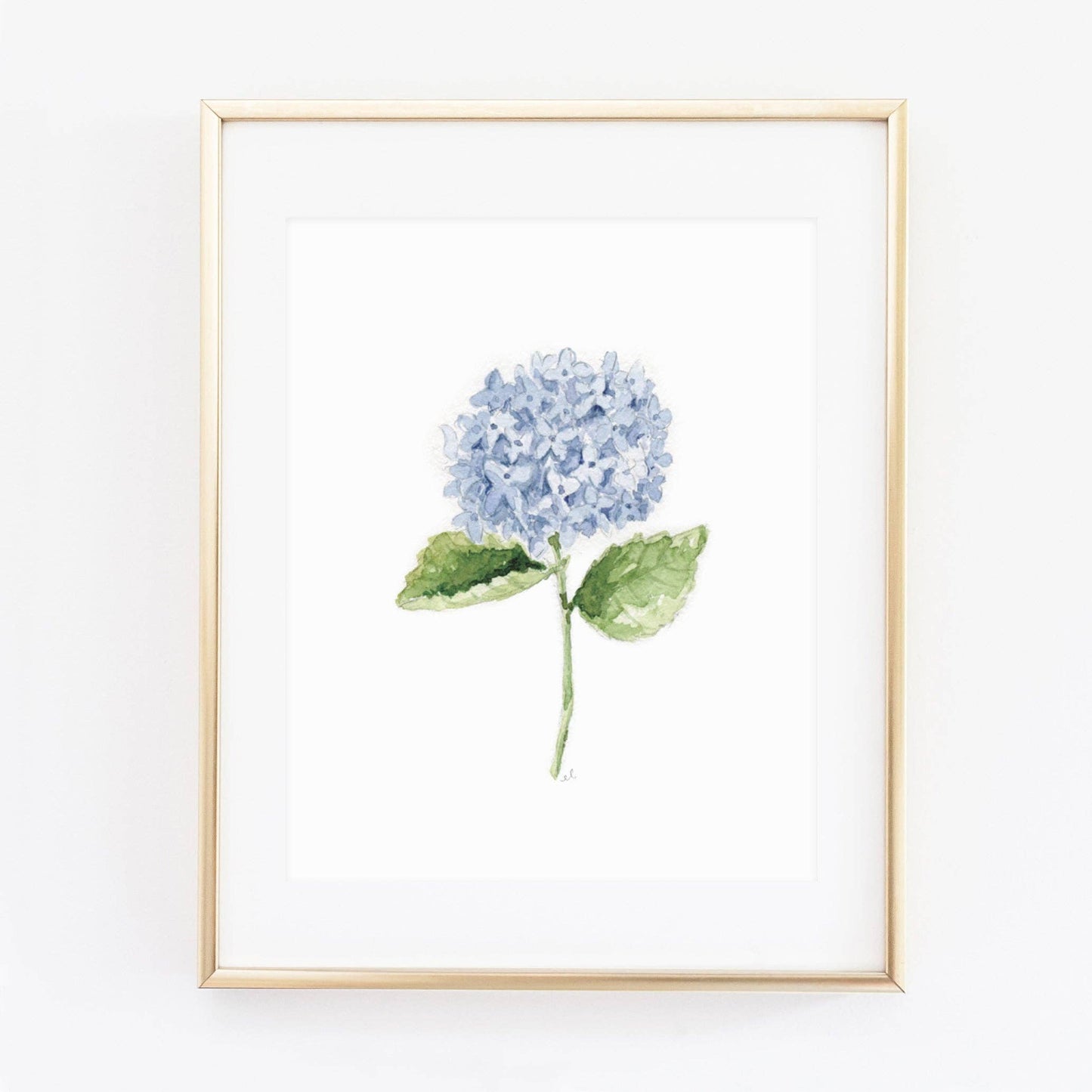 Hydrangea stem art print