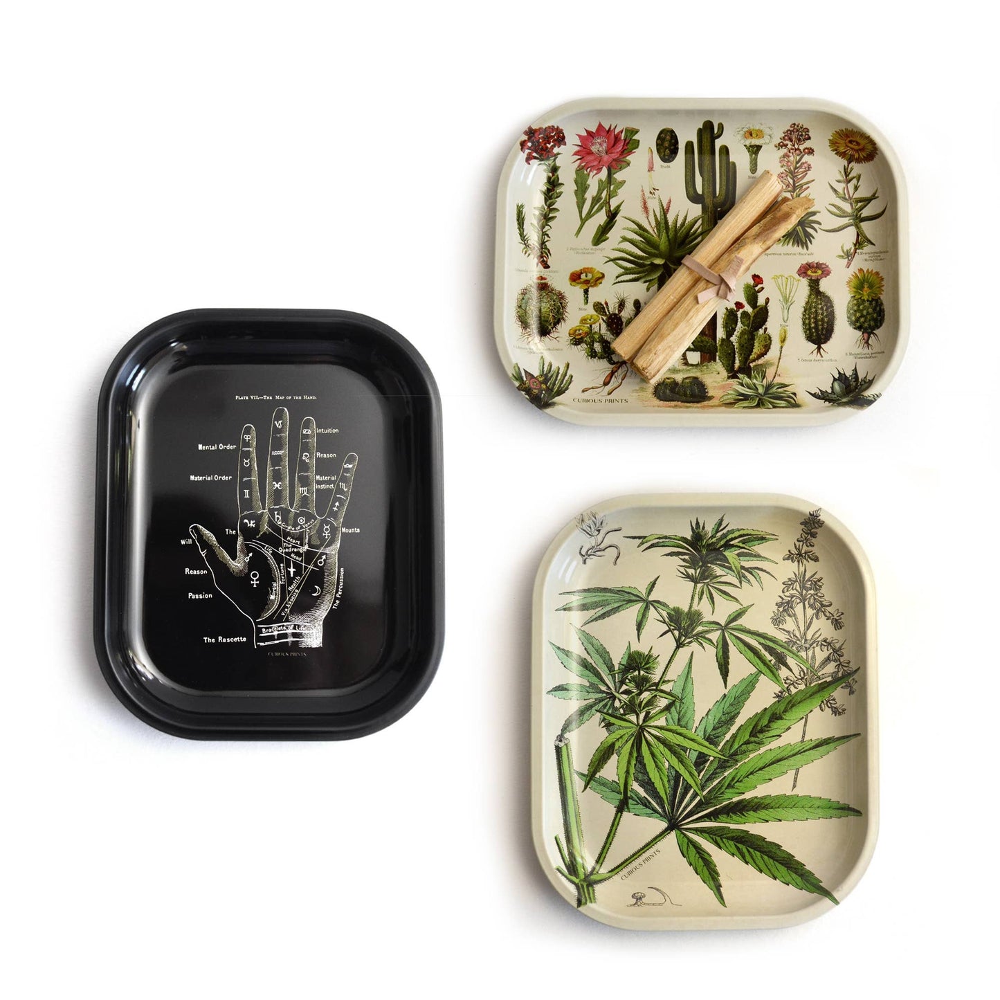 Cactus Catchall Tray