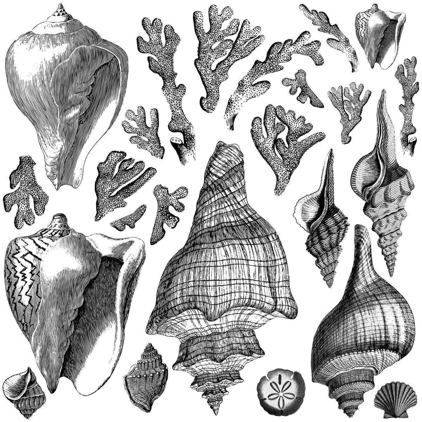 Seashore