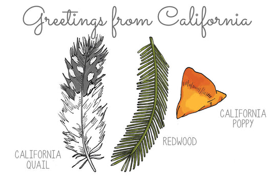 Greetings from CA Postcard