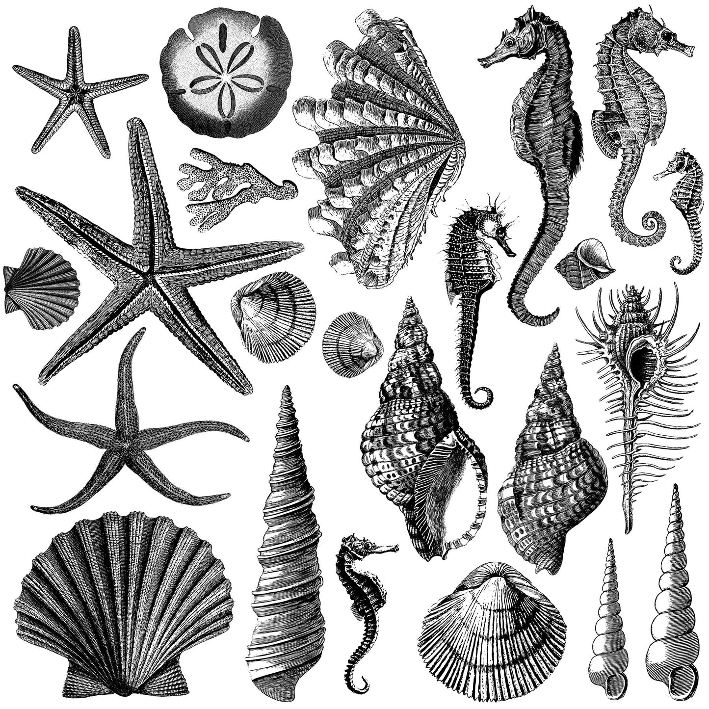 Seashore