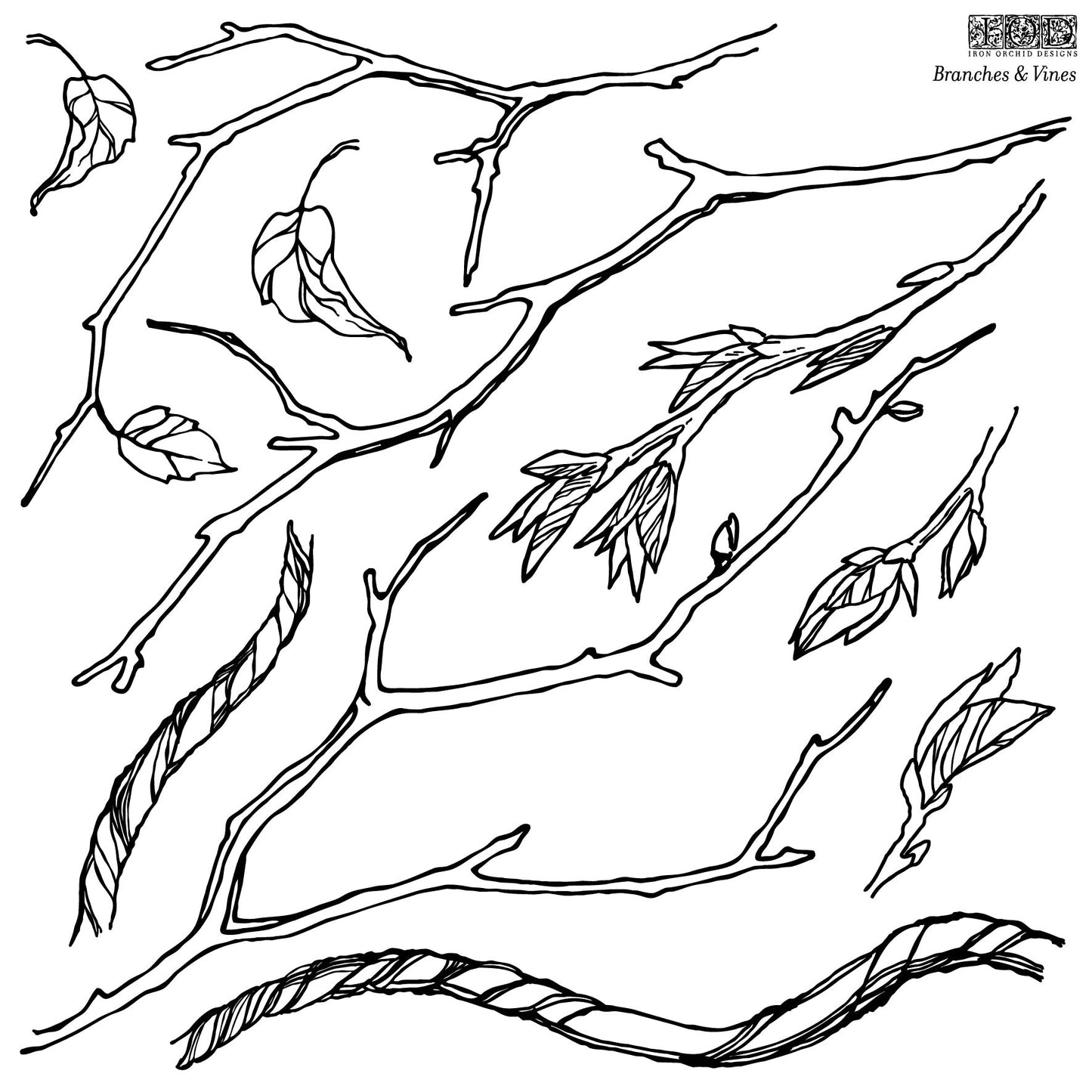 Branches & Vines