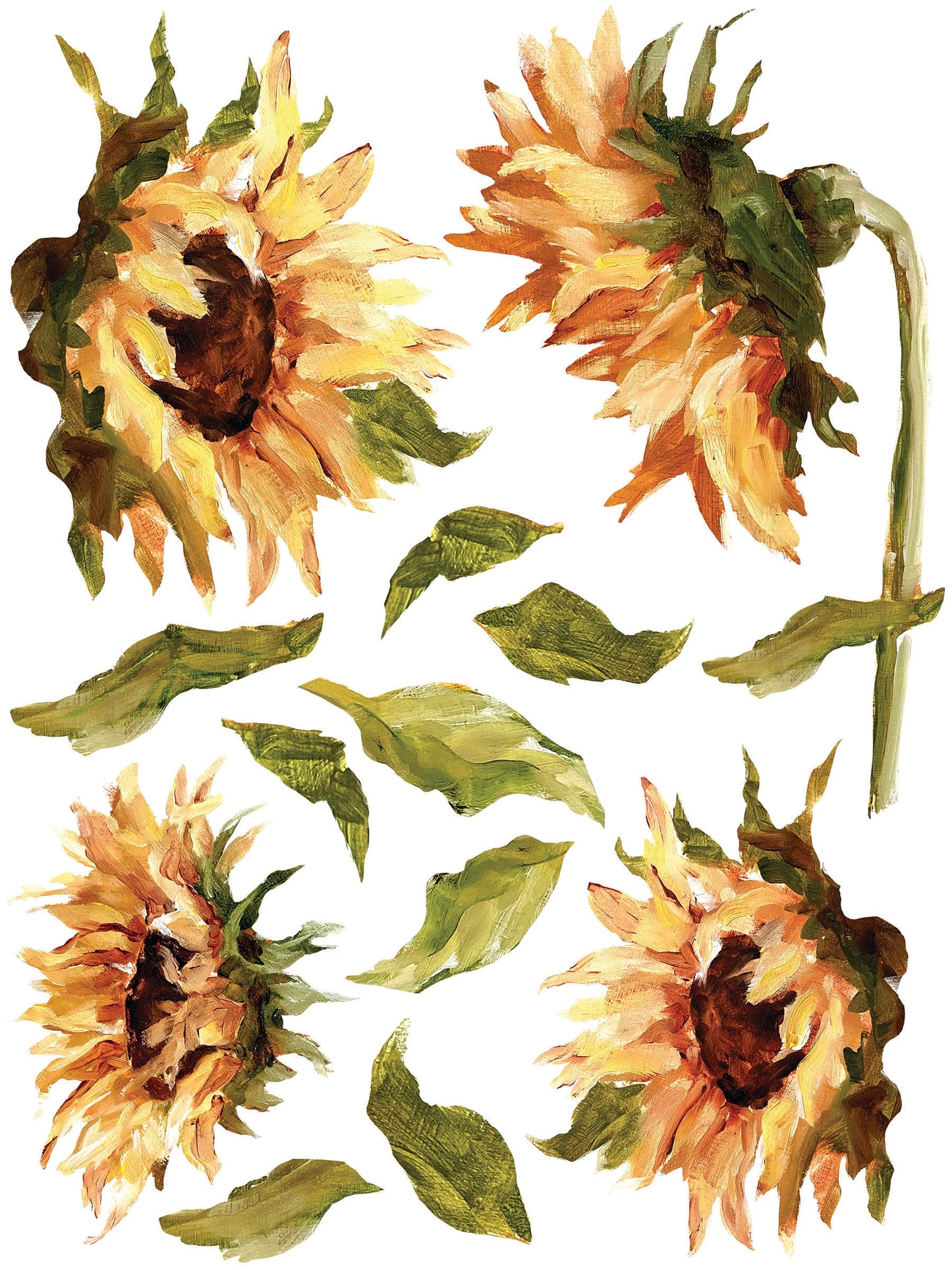 Painterly Florals