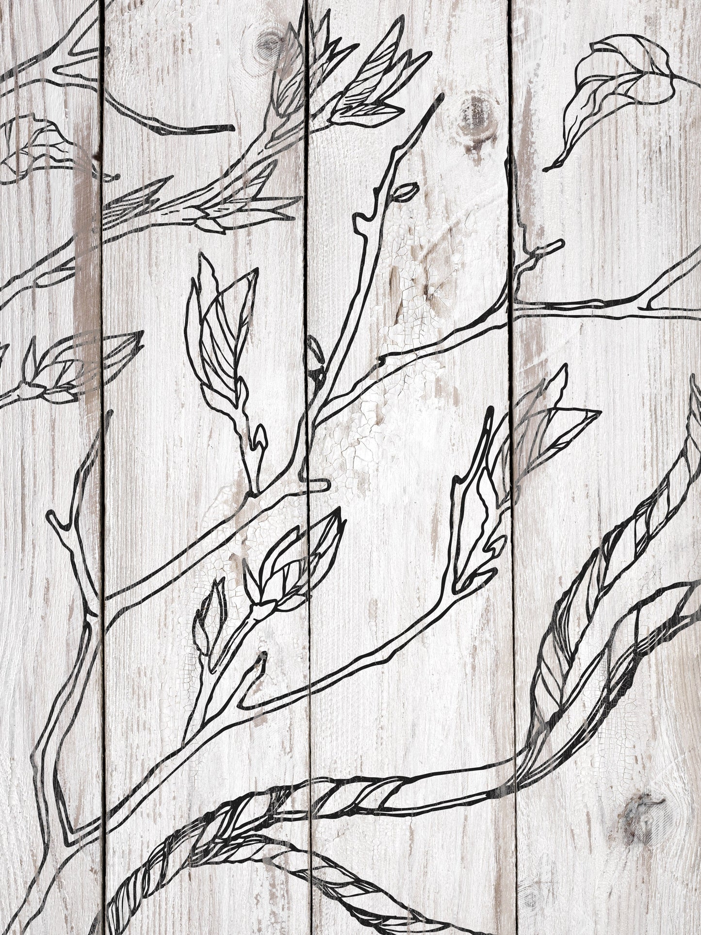 Branches & Vines