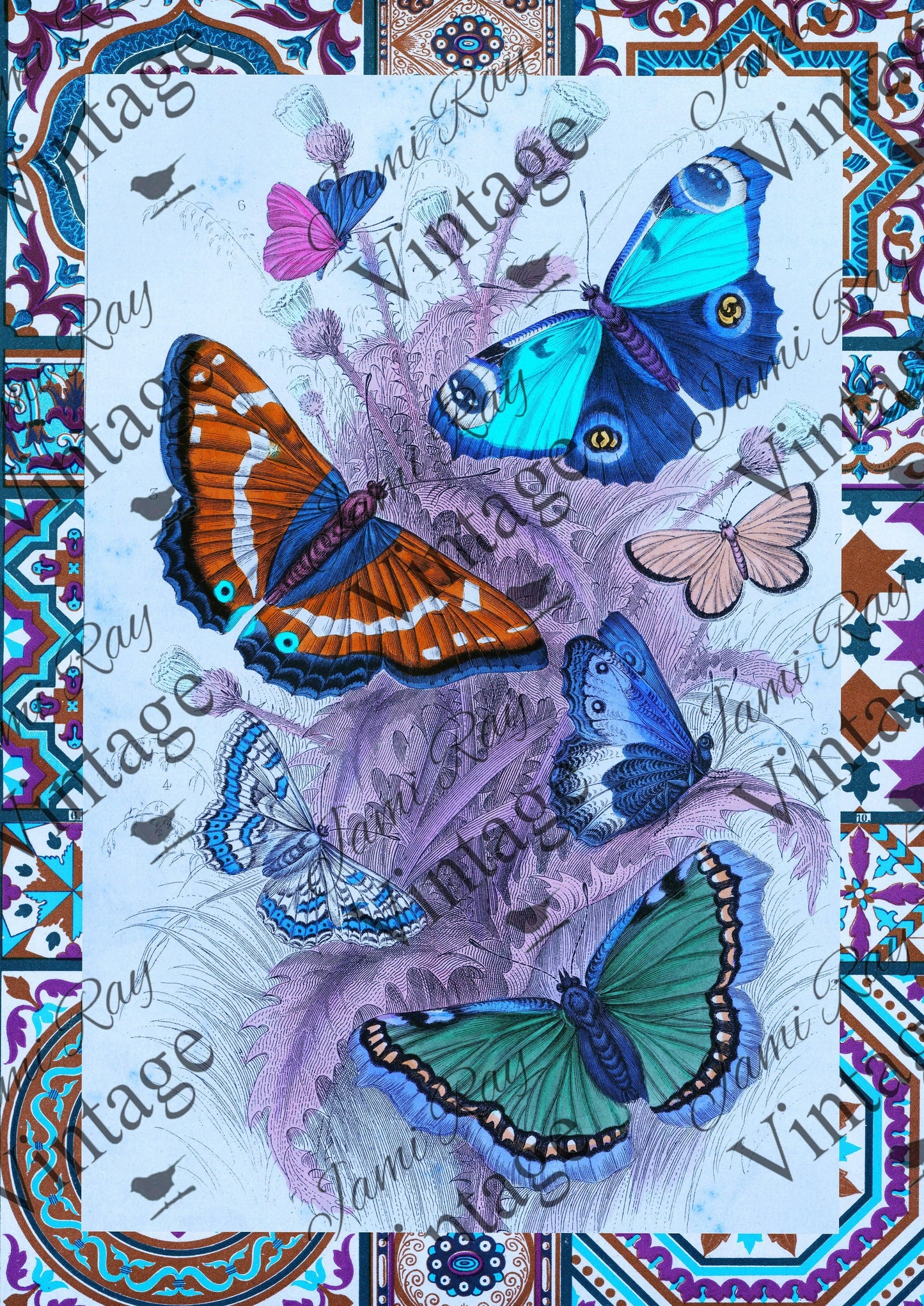 Papillon | JRV Rice Paper | A4