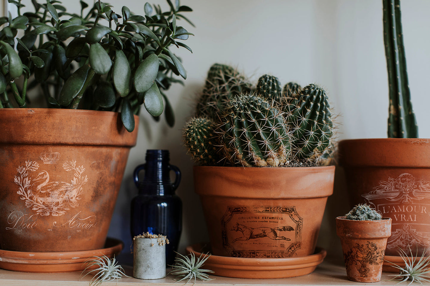 Traditional Pots