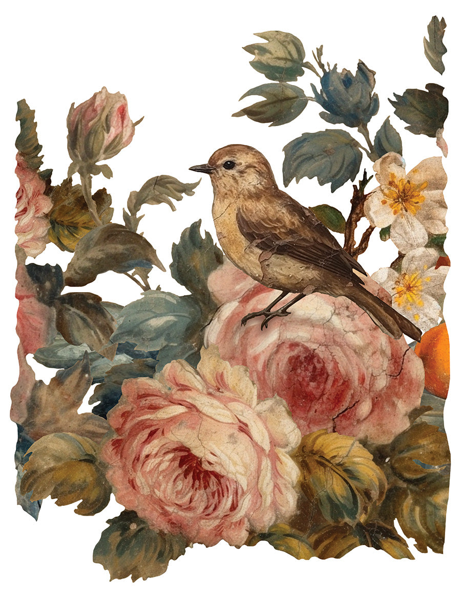 Joie Des Roses