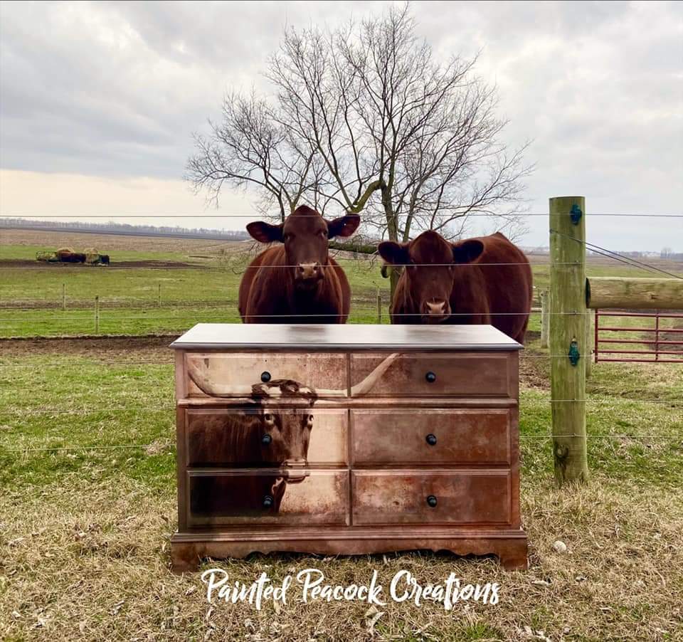 Texas Longhorn Mint Decoupage Paper