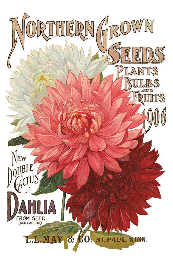 Seed Catalogue