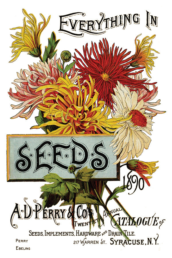 Seed Catalogue