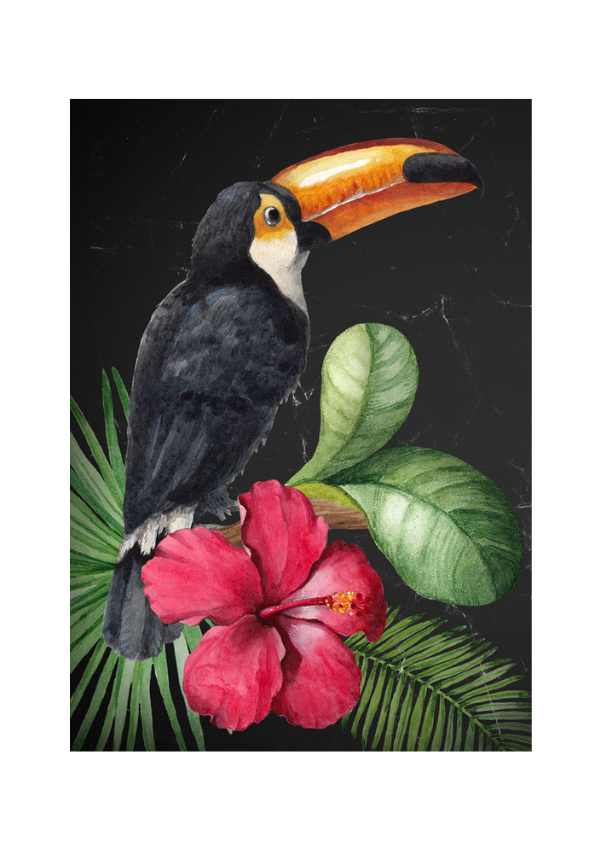 Toucan Mint Decoupage Paper