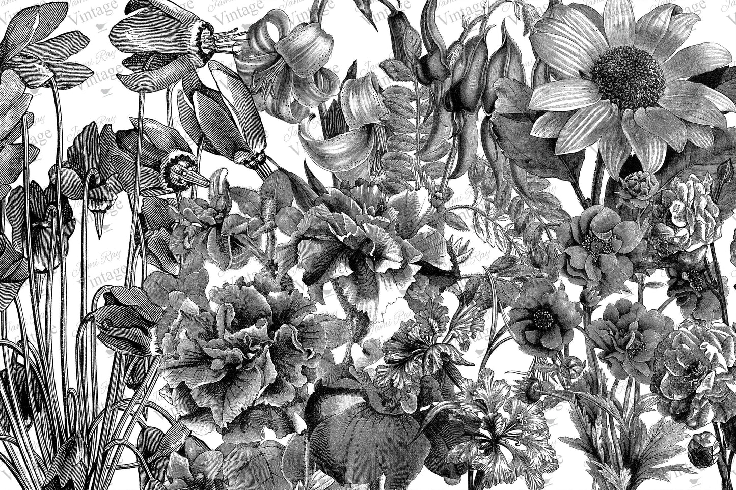 Black and White Floral | JRV Paper