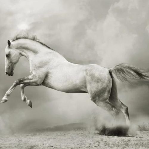 White Horse Mint Decoupage Paper