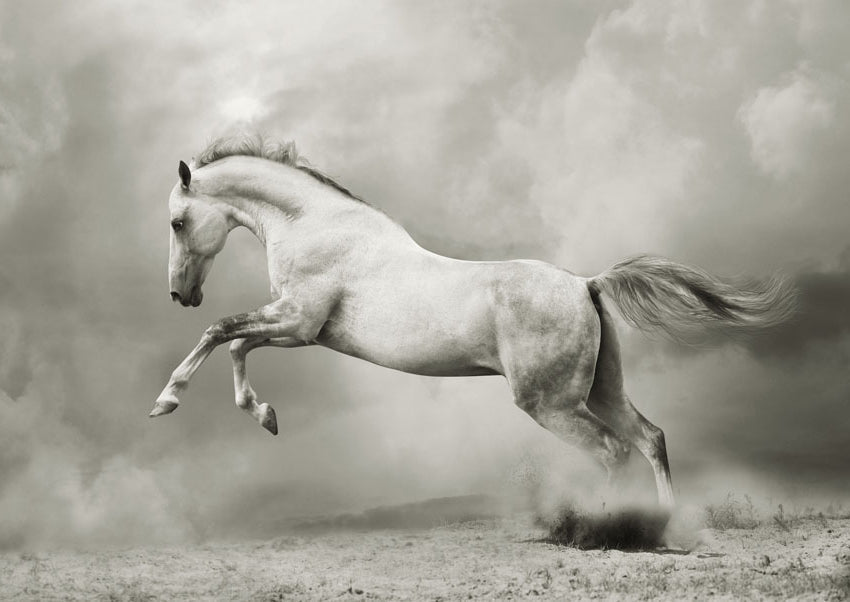 White Horse Mint Decoupage Paper