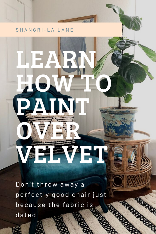 learn how to paint over velvet cover