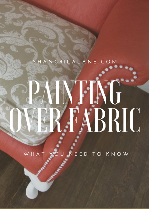 Painted FABric With A Twist!