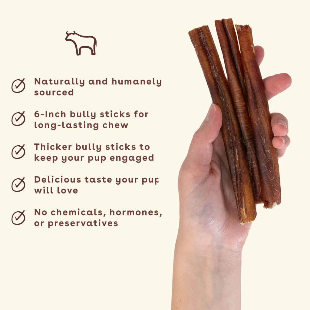 Bully Stick Dog Chew 4 Pack