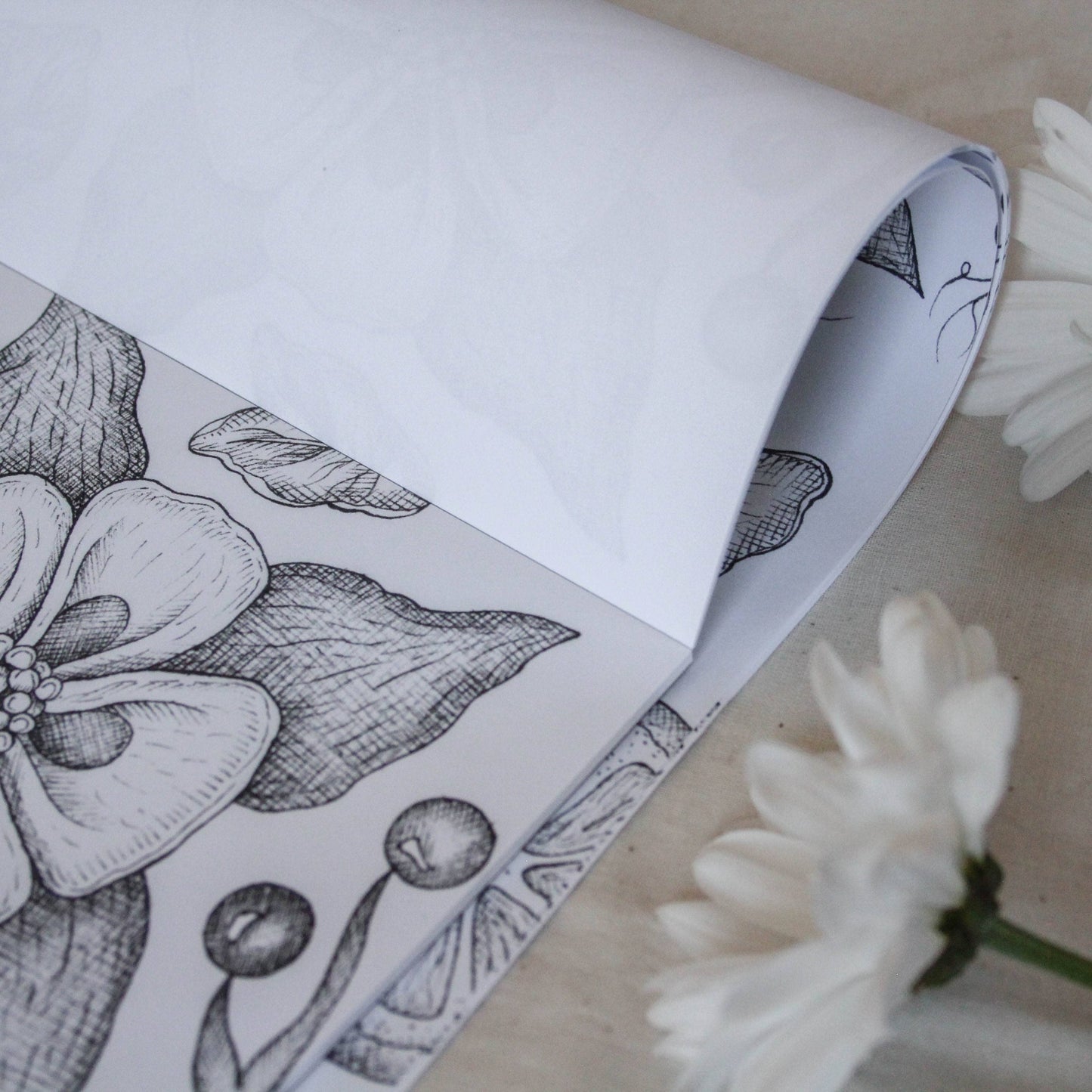 Paper Placemats