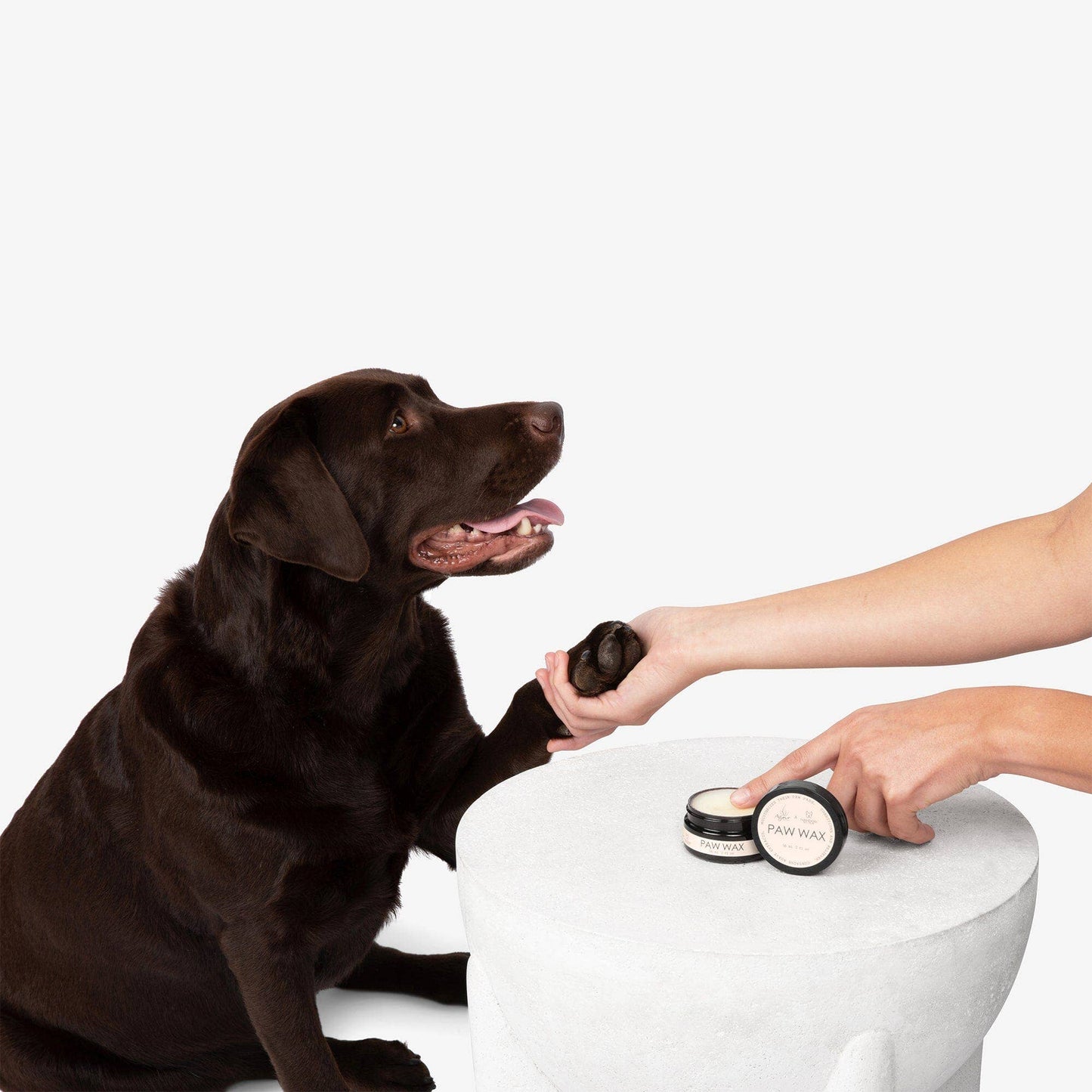 Pets Paw Wax