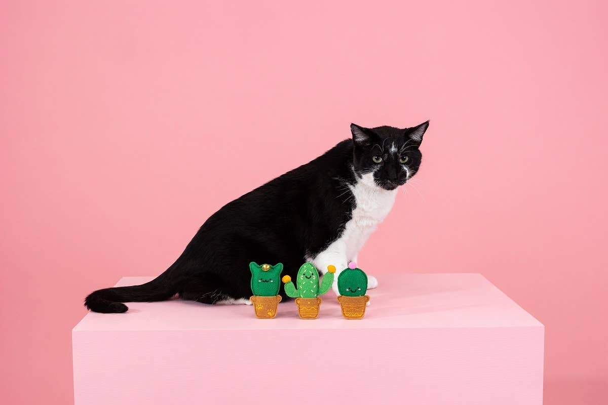 Cat-us Friends Cat Toys Set 3pc