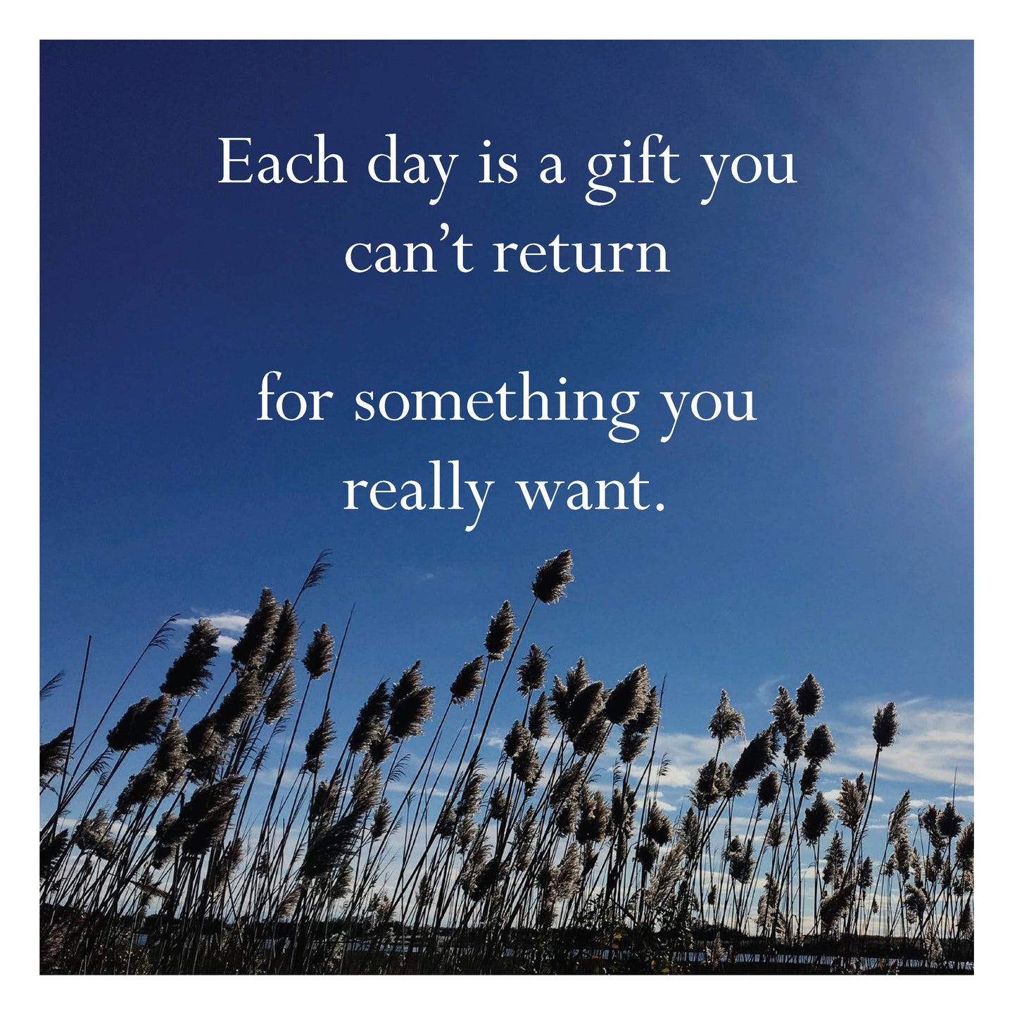 Disappointing Affirmations 2026 Wall Calendar