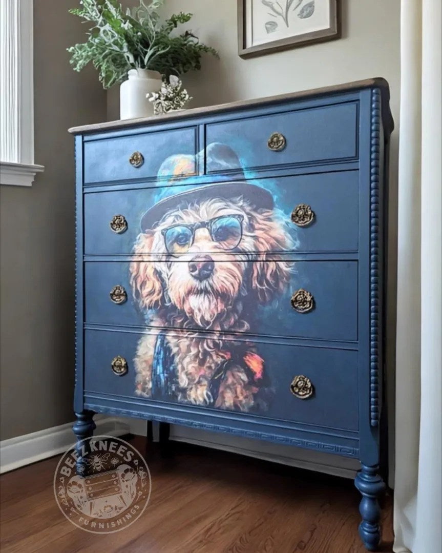 Dog Dresser