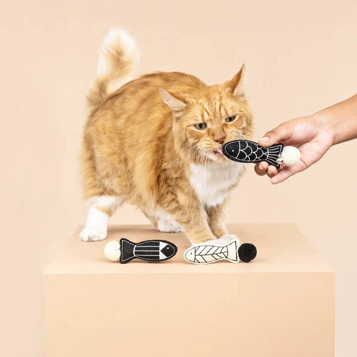 Off The Scales Cat Toy Mini Set 3pc