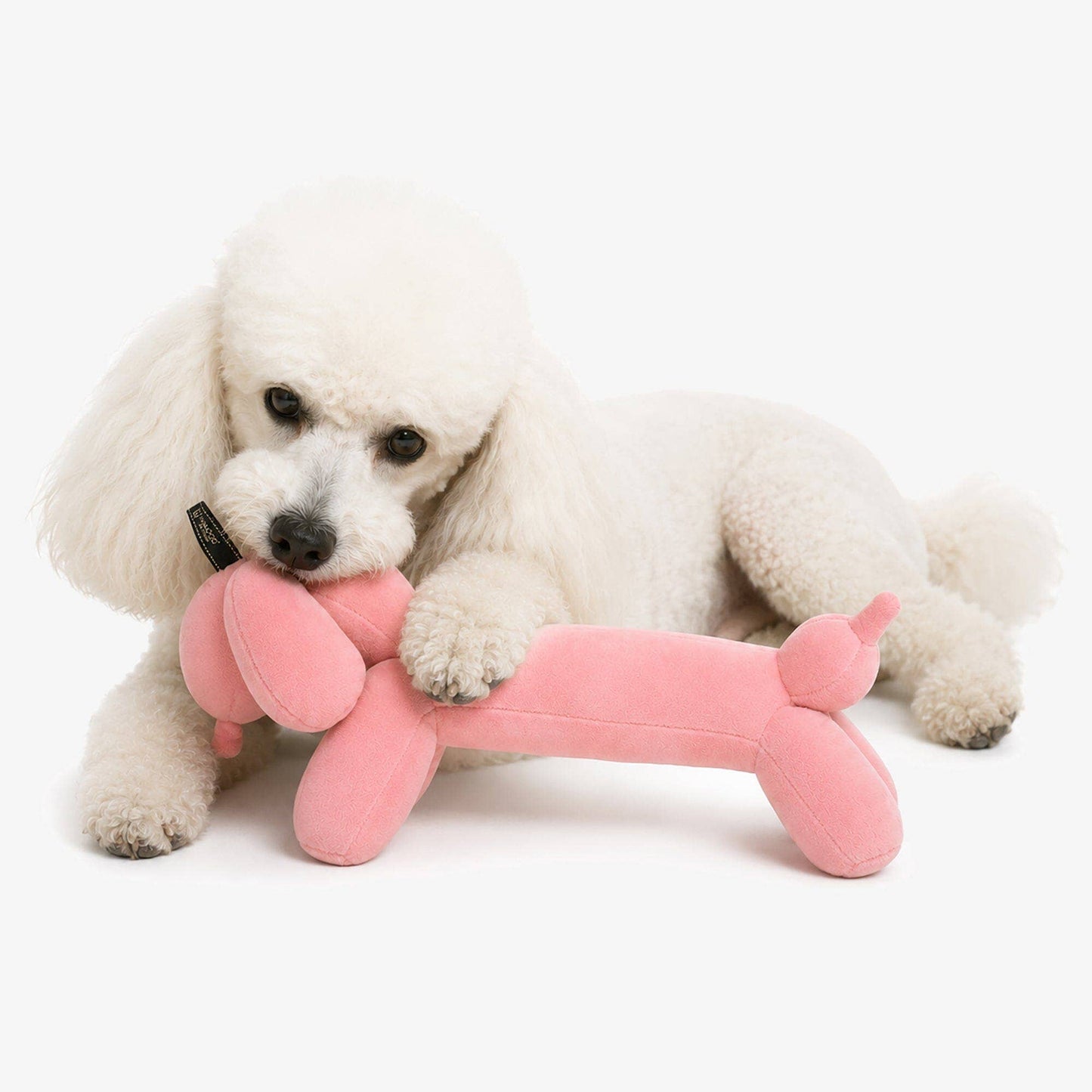 Pink Balloon Dog Toy