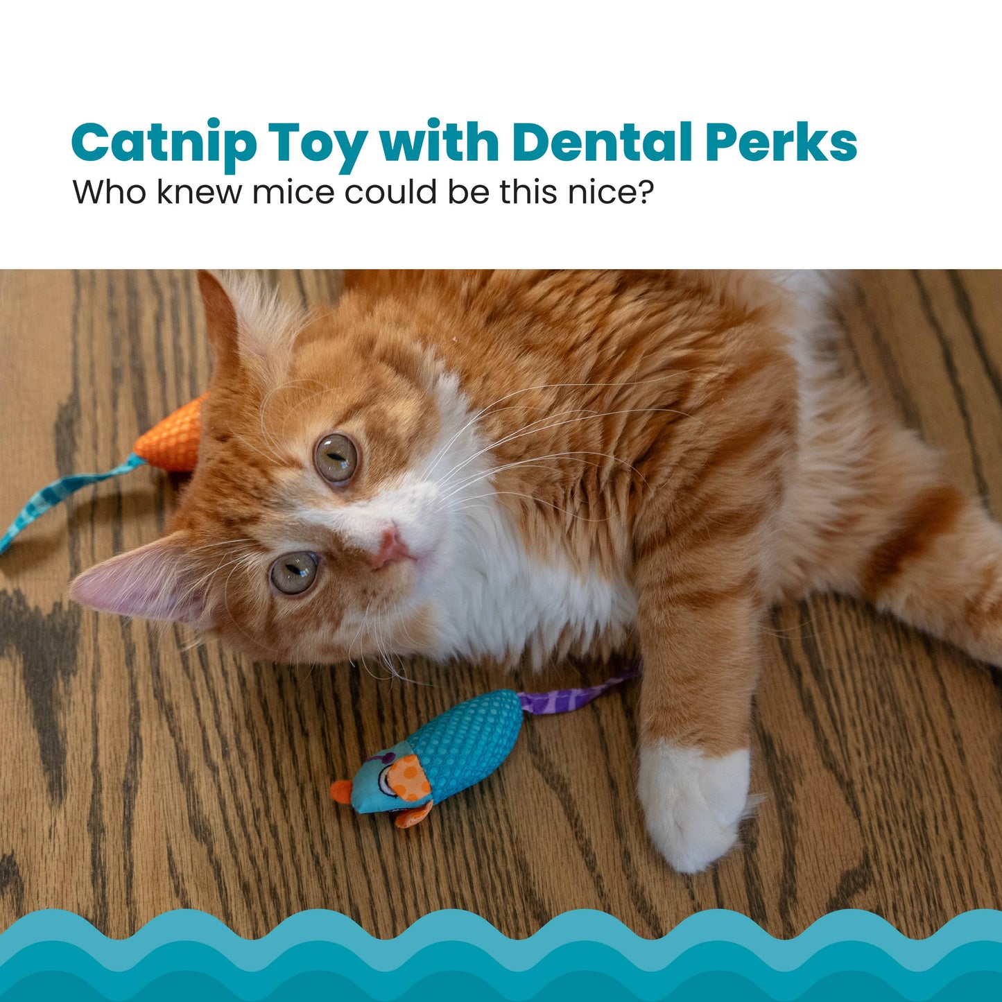 Catnip Chew Mice Dental Health Cat Toy 2pc