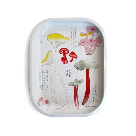 Japanese Mushroom Catchall Tray