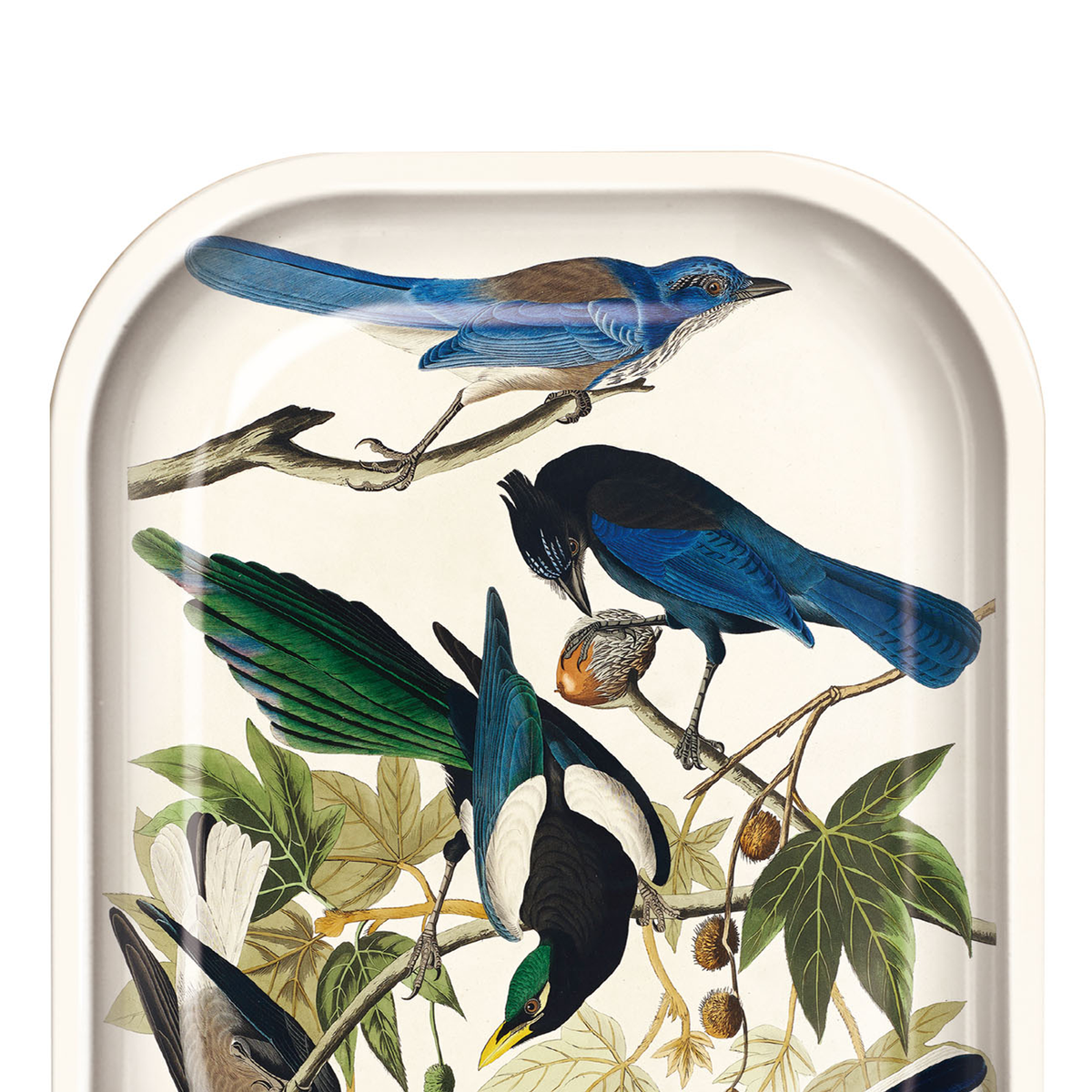 Audubon Magpie and Jaybirds Tray