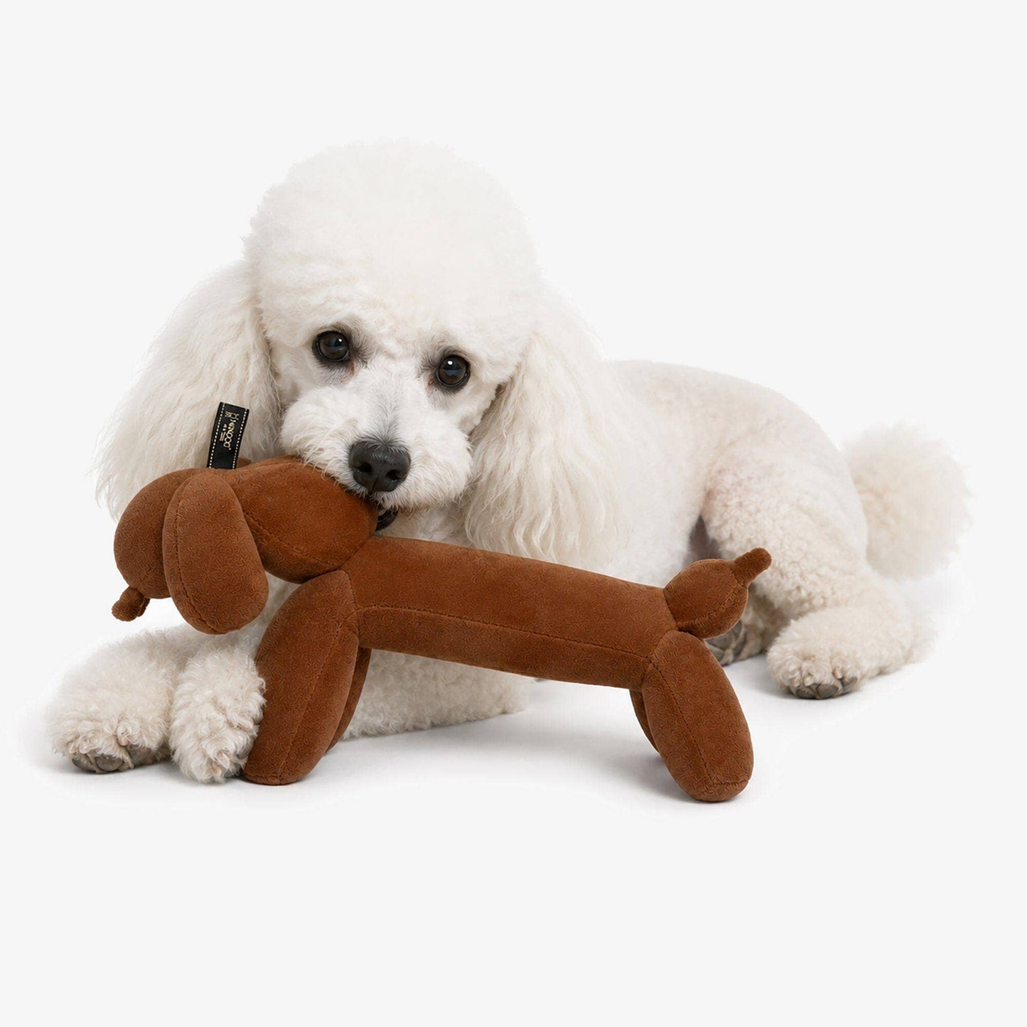 Brown Balloon Dog Toy