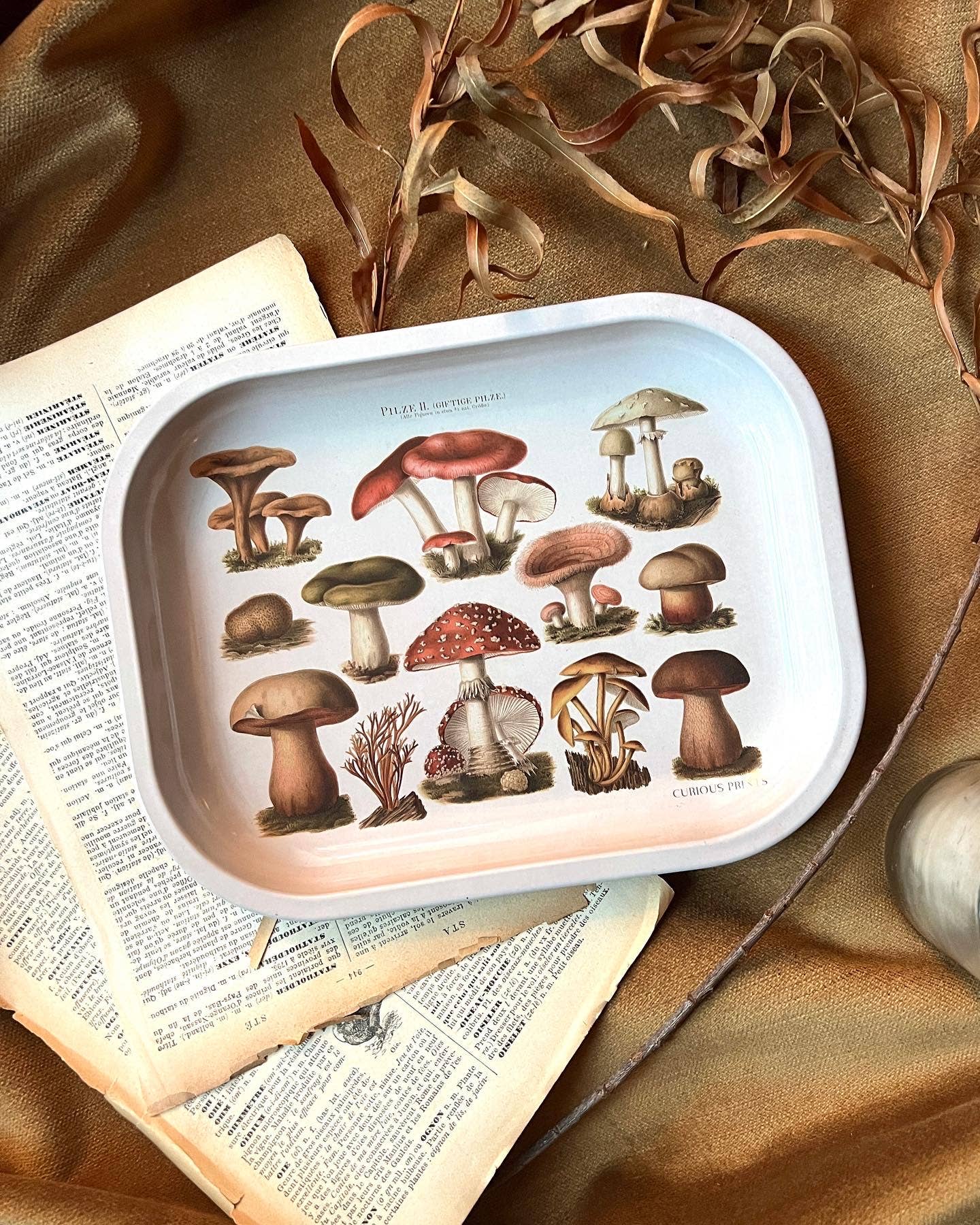 Mushroom Tray