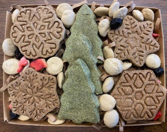 Holiday Box with Dog Treats